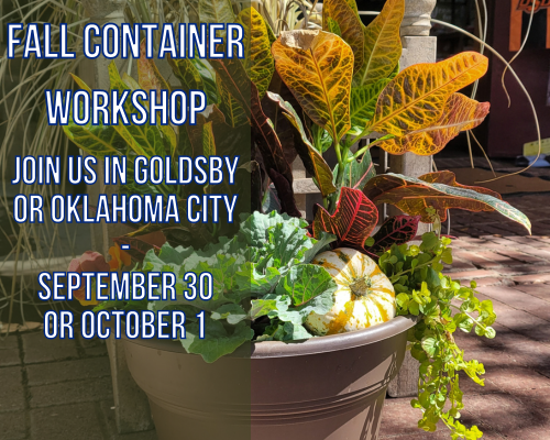 Fall Container Workshop