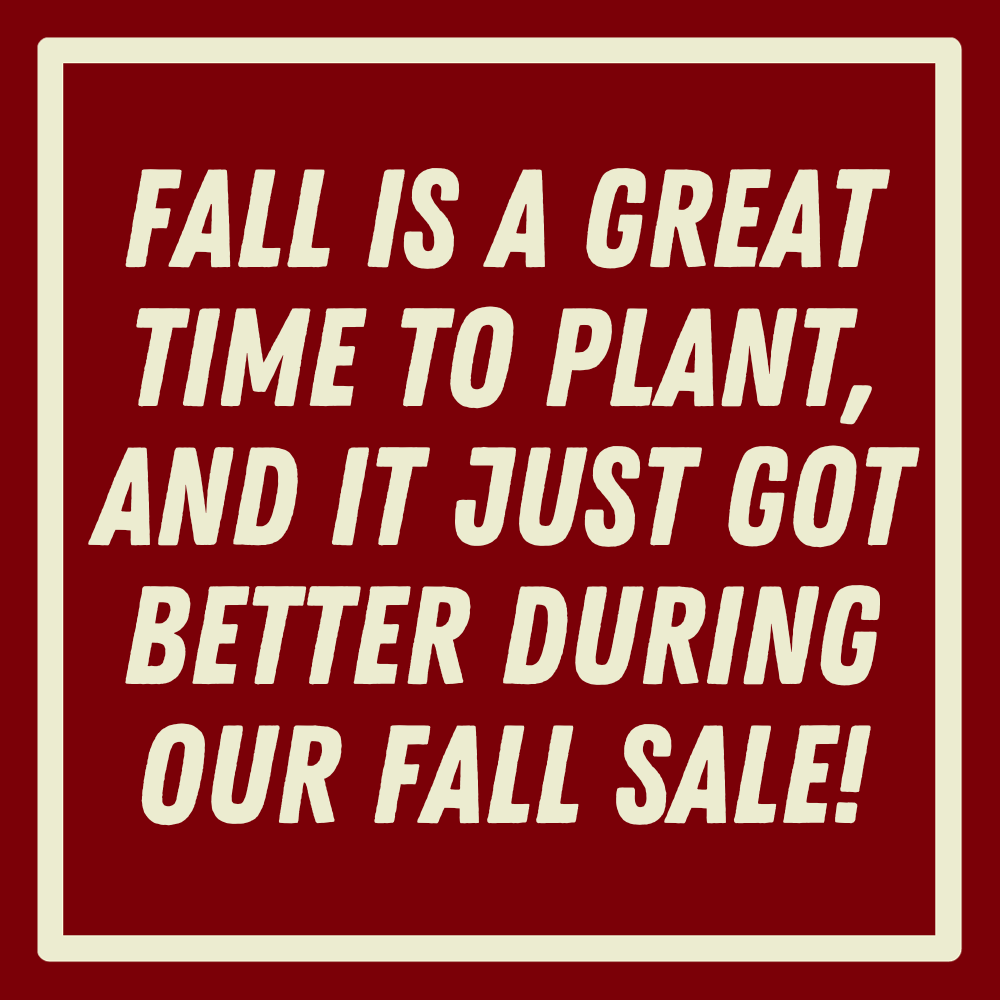 Fall is a great time to plant!