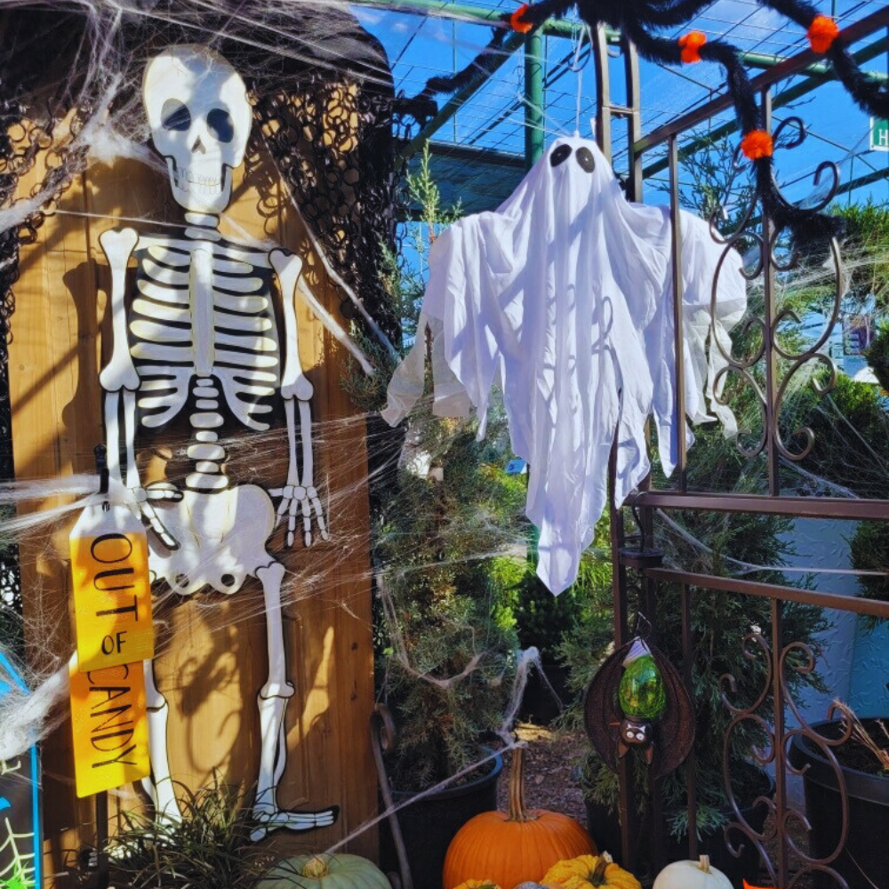 Halloween Decor