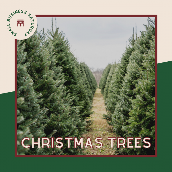 Careers Marcum's Nursery