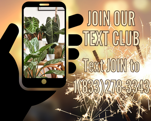 Join Our Text Club
