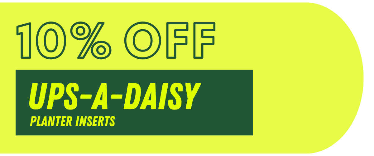 10% Off Ups-A-Daisy
