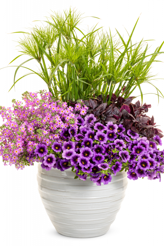 Spring Open House Marcum's Nursery Goldsby, OK