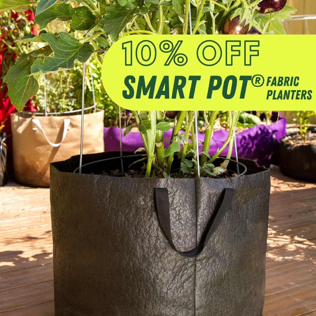 SmartPot® Fabric Planters