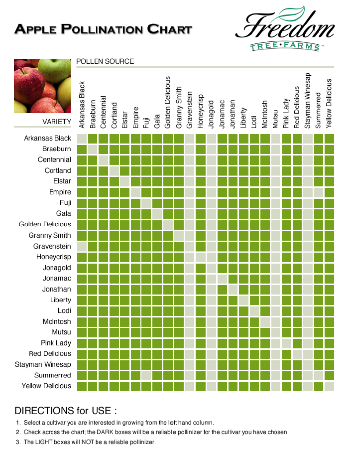 Apple Pollinator Chart