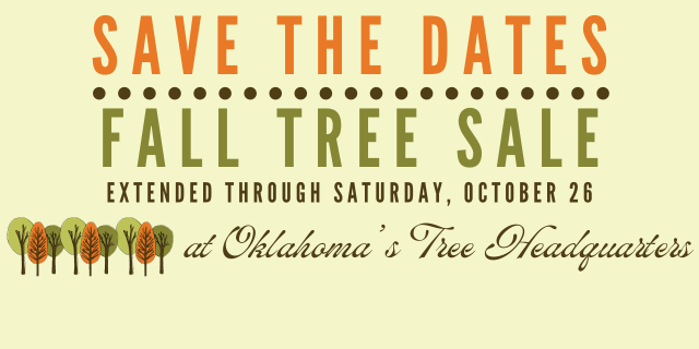 Fall Tree Sale