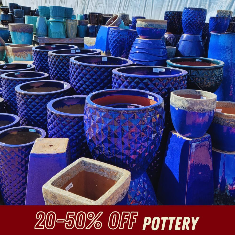 Pottery - Fall Shrub Sale
