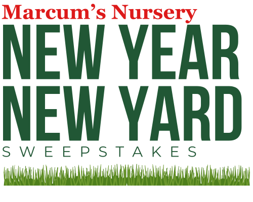 New Year, New Yard Sweepstakes