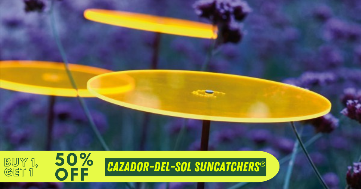 Cazador-del-sol