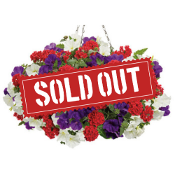 Star Spangled Sold Out