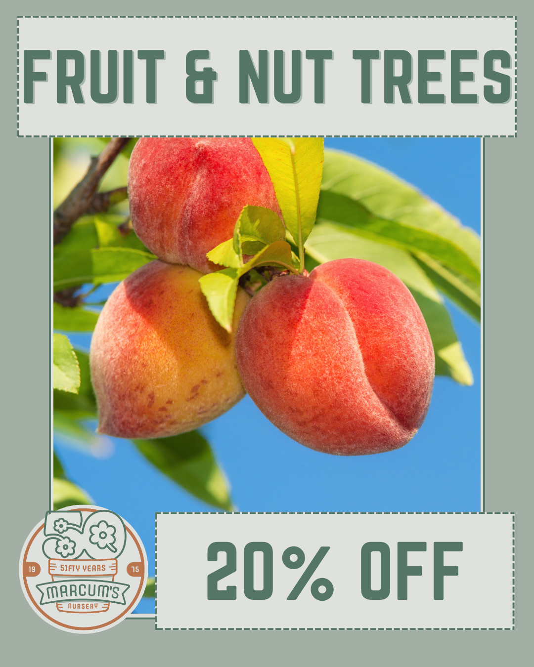 Fruit & Nut Trees 50% off Geraniums