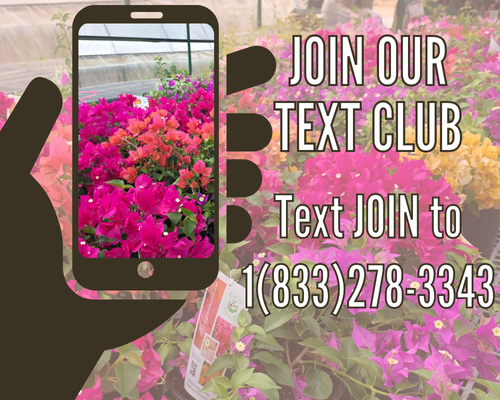 Sing up to receive text messages