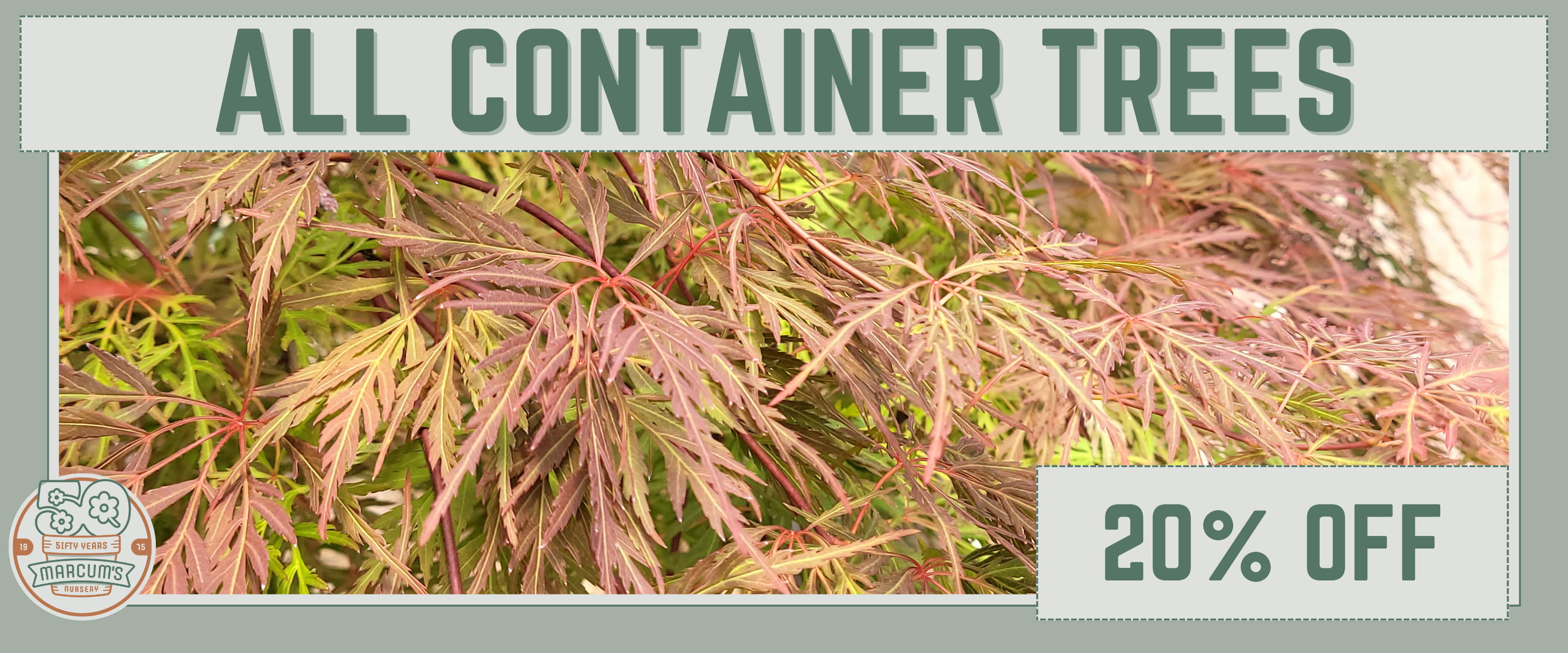 All Container Trees All Container Trees
