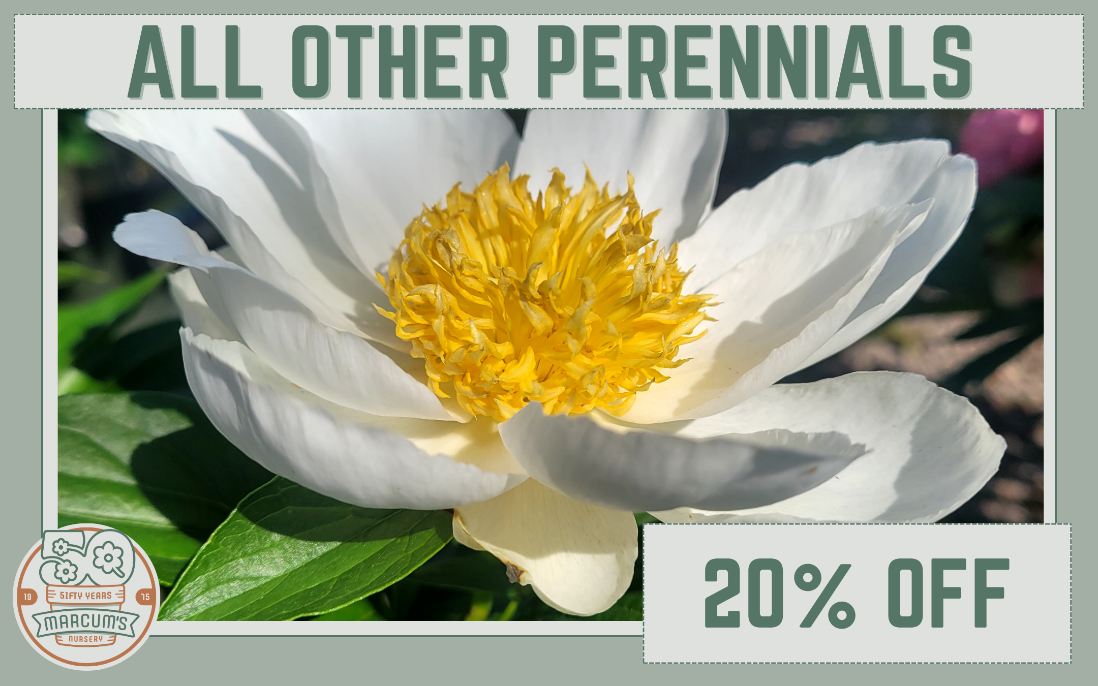 All Other Perennials All Other Perennials
