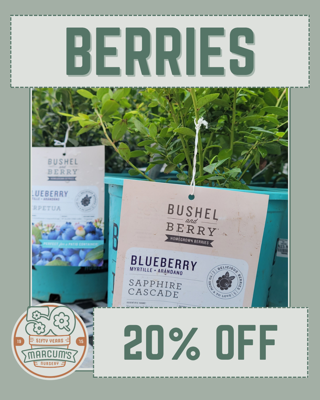 Berries Berries