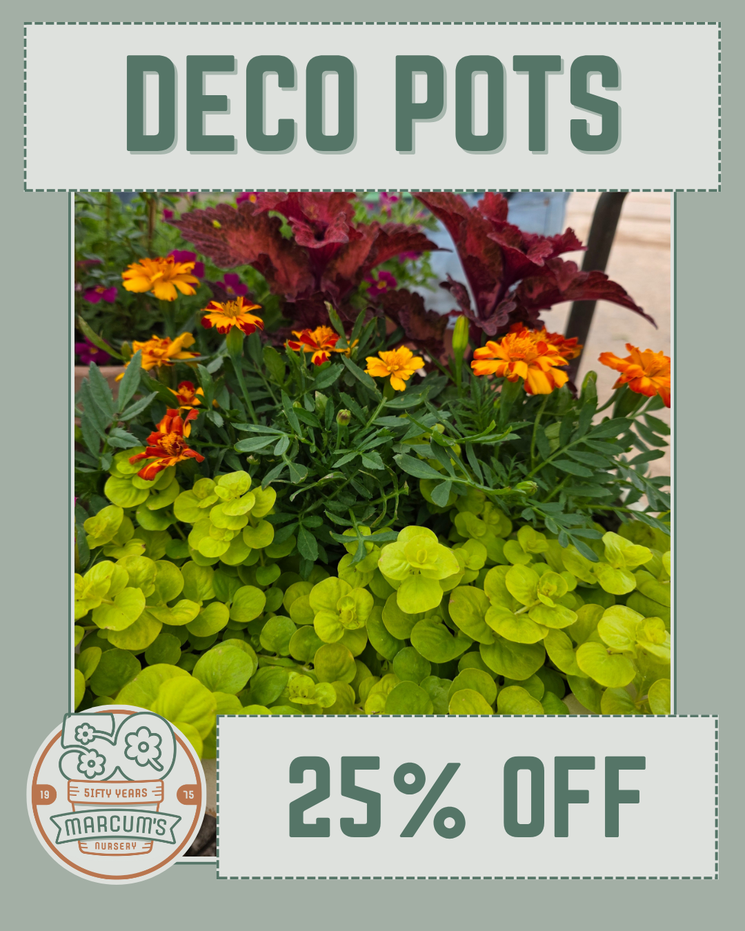 Deco Pots Deco Pots