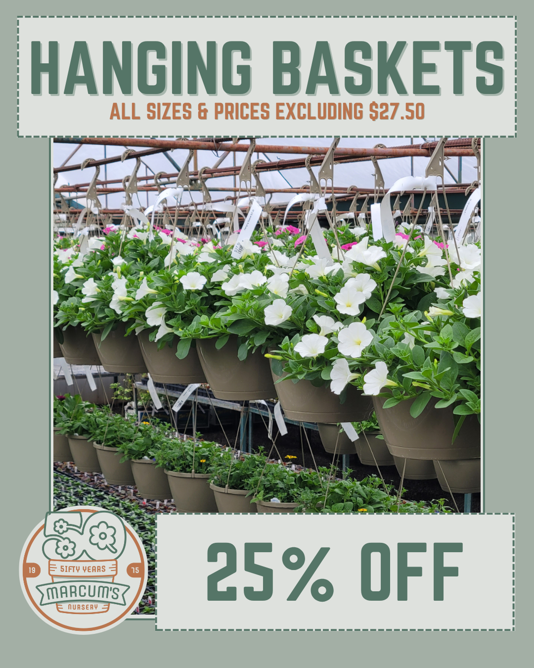 Hanging Baskets (1) Hanging Baskets