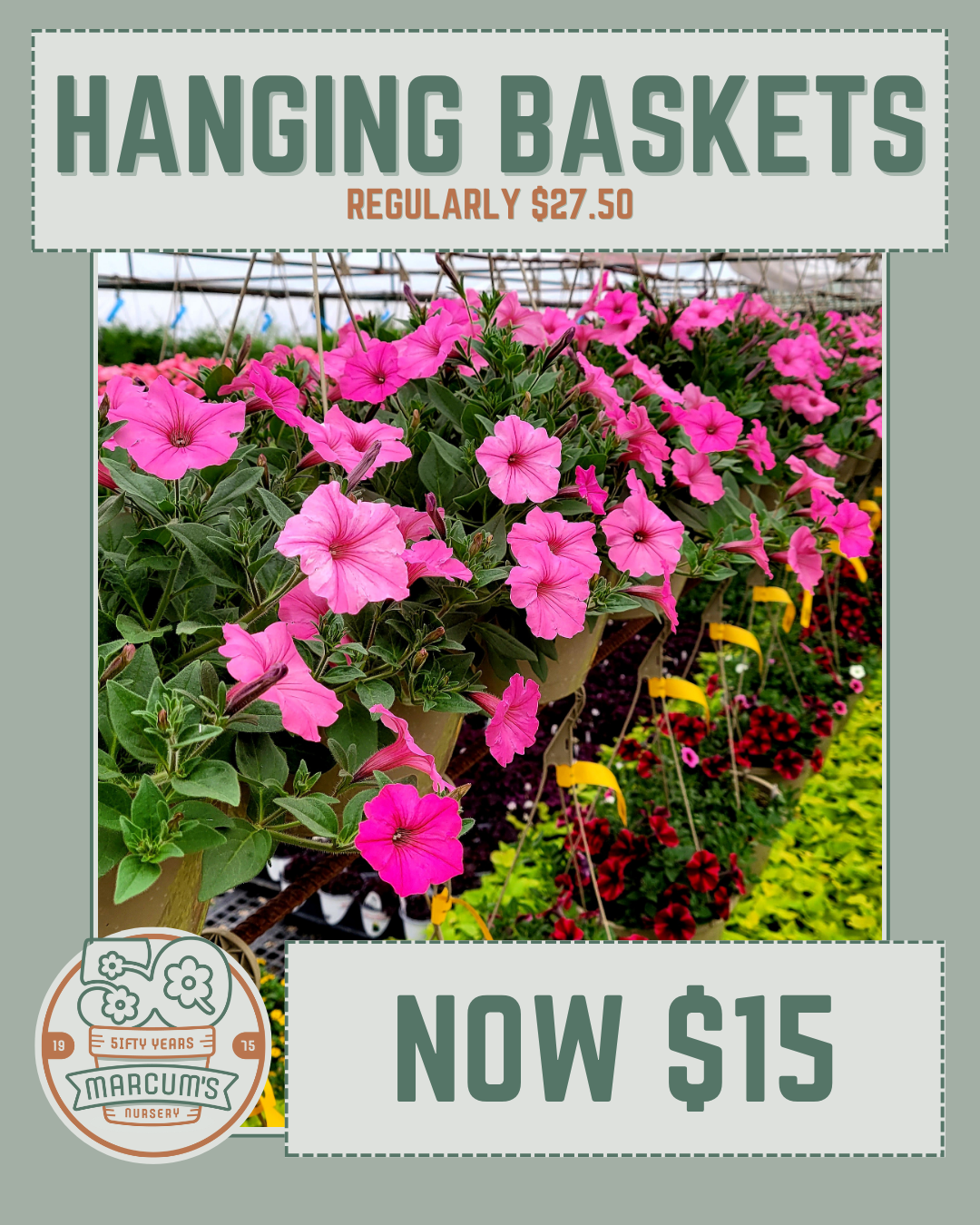 Hanging Baskets (2) Hanging Baskets
