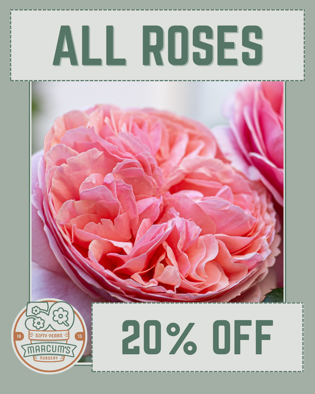 Roses 50% off Geraniums