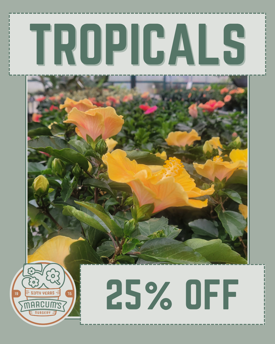 Tropicals Tropicals
