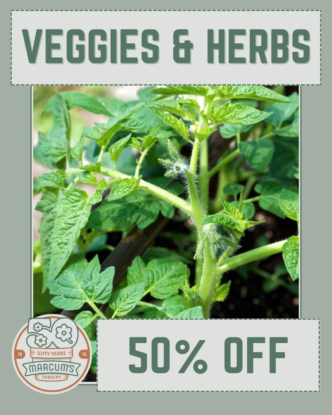 Veggies & Herbs Veggies & Herbs