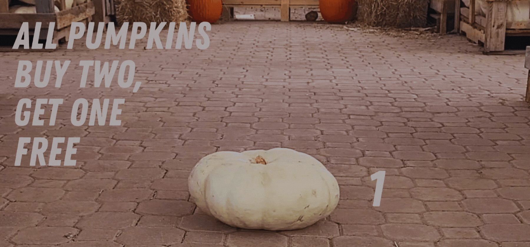 Pumpkins Buy Two Get One Free