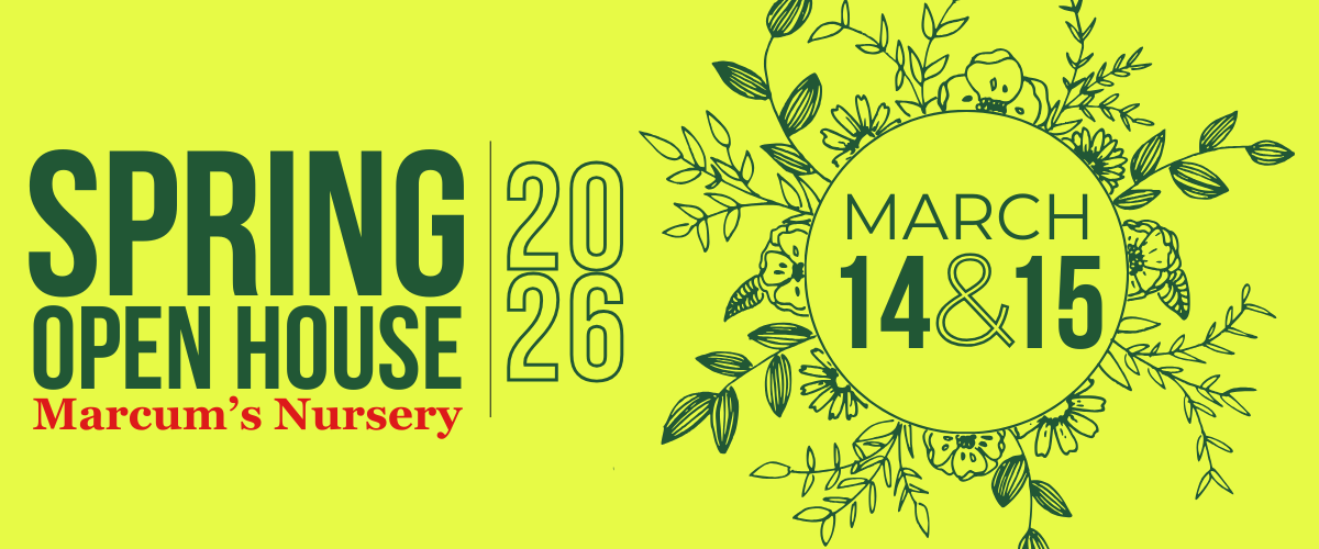 Spring Open House 2026