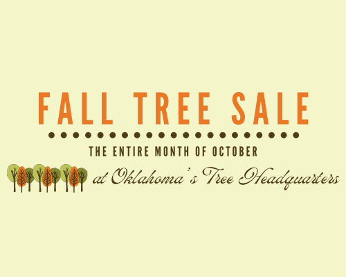 FALL TREE SALE